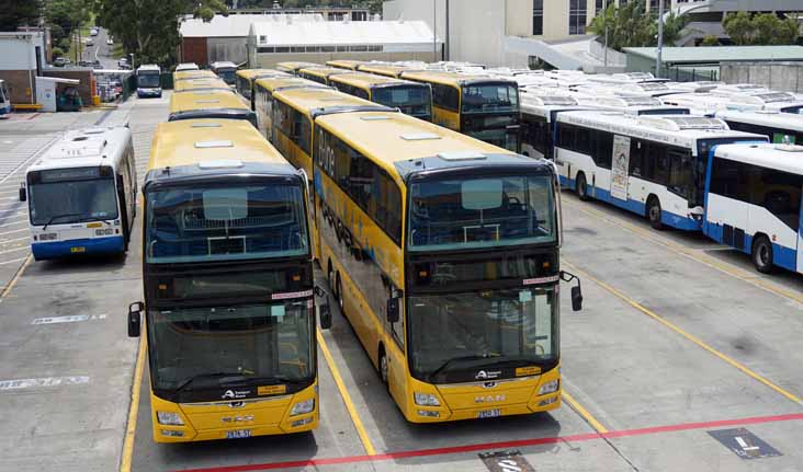 Sydney Buses MAN ND323F Gemilang Eco doubledecker B-Line 2876 & 2850